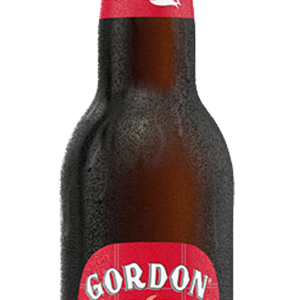 GORDONS FINEST RED 24×33 CL.